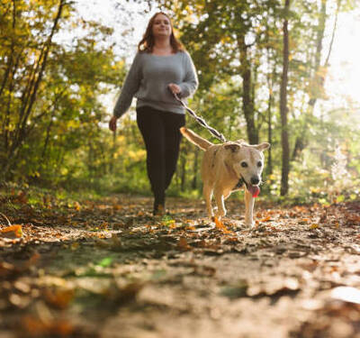 Step 7: Ongoing Guidance