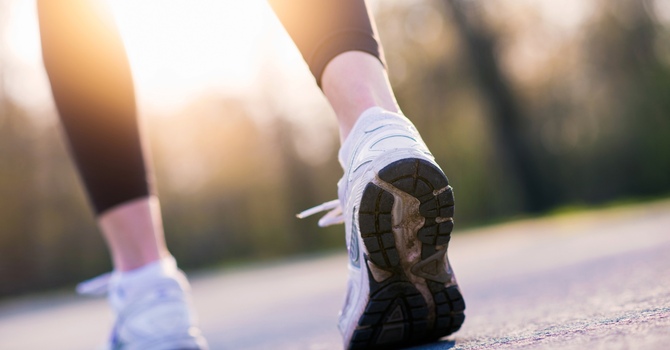 Therapeutic Nutrition