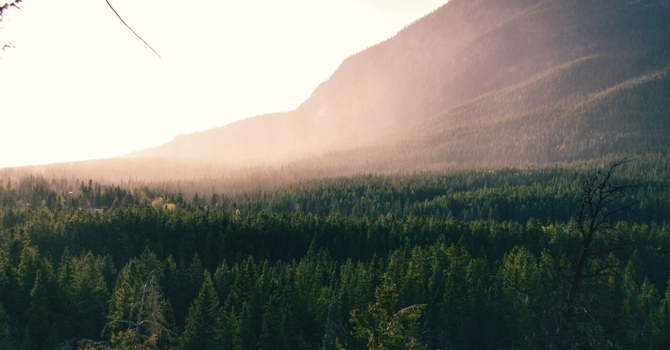 Functional Wellness Care